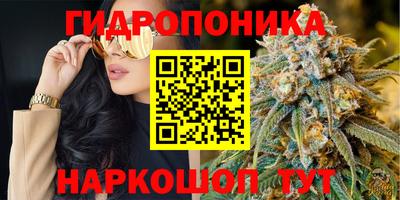 крисы Обь