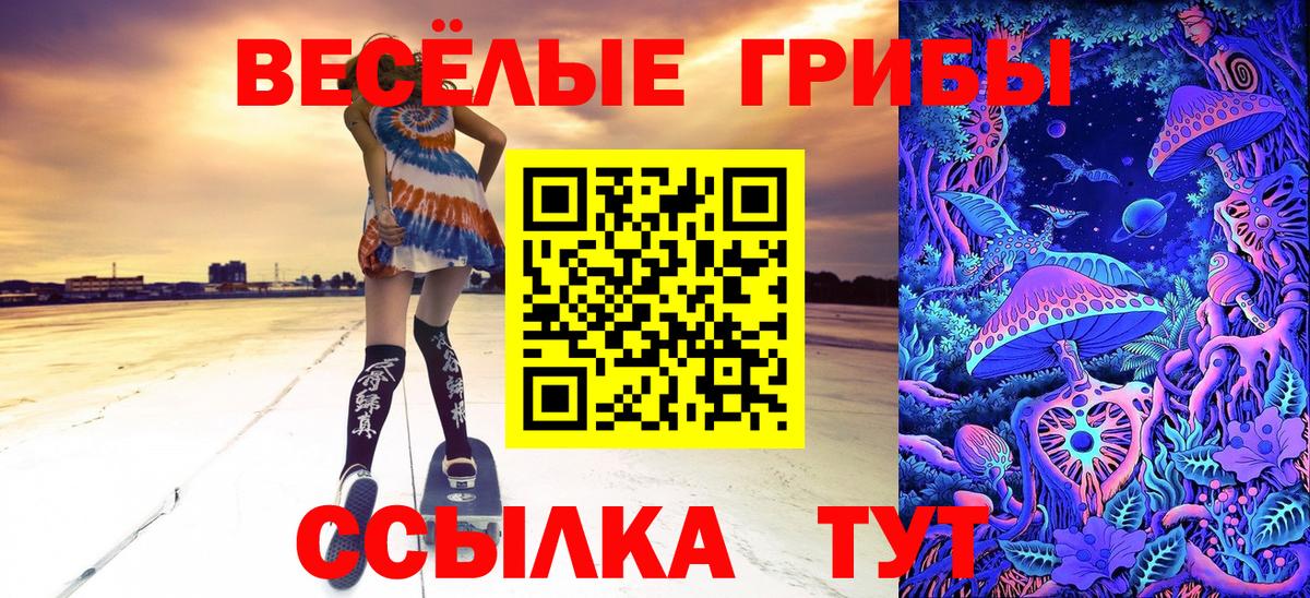 Галлюциногенные грибы MAGIC MUSHROOMS  Вход с VPN  Мценск 
